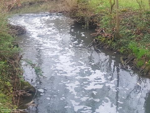 04.04.2019 – Massives Fischsterben in der Schozach