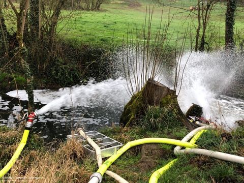 04.04.2019 – Massives Fischsterben in der Schozach