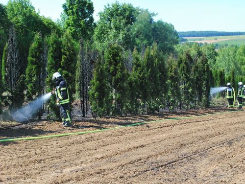23.07.2019 – Flächenbrand im Gewann Finkengrund