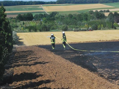 23.07.2019 – Flächenbrand im Gewann Finkengrund