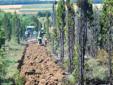 23.07.2019 – Flächenbrand im Gewann Finkengrund