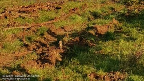 31.10.2020 – Reisighaufen brennt in stillgelegtem Wengert