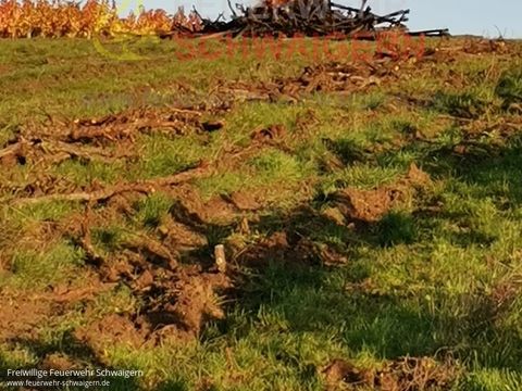 31.10.2020 – Reisighaufen brennt in stillgelegtem Wengert