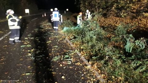 21.10.2021 – Baum fällt bei Sturm auf L1107 (Stetten-Haberschlacht)