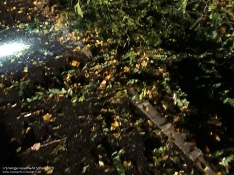 21.10.2021 – Baum fällt bei Sturm auf L1107 (Stetten-Haberschlacht)