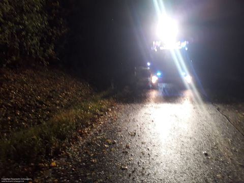 21.10.2021 – Baum fällt bei Sturm auf L1107 (Stetten-Haberschlacht)