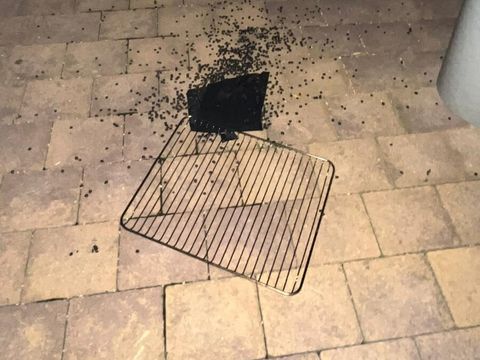 17.06.2024 – Kirschkernsäckchen in Backofen vergessen