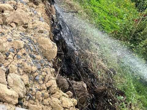 24.07.2024 – Brennendes Gehölz im Eselsberg