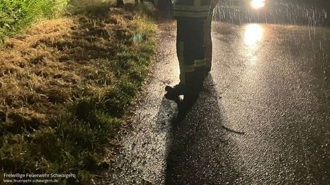 28.05.2025 – Hund entlaufen und vermutlich in misslicher Lage