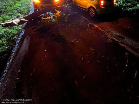 13.07.2025 – Verkehrsunfall nach Windbruch auf K2151 (Schwaigern-Neipperg)