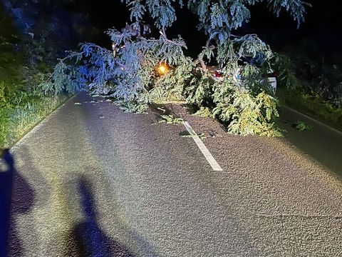13.07.2025 – Verkehrsunfall nach Windbruch auf K2151 (Schwaigern-Neipperg)