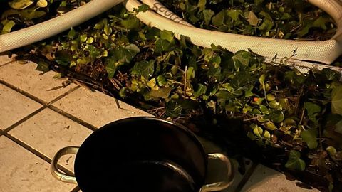 11.10.2025 – Rauchentwicklung durch auf dem Herd vergessenes Essen