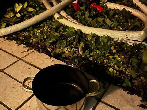 11.10.2025 – Rauchentwicklung durch auf dem Herd vergessenes Essen