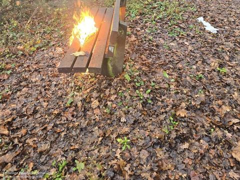07.12.2025 – Parkbank brennt im Bereich "Friedwald"