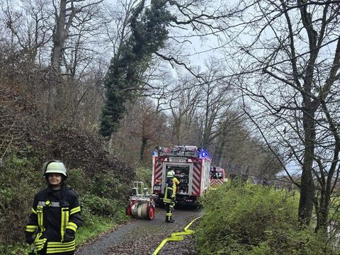 07.12.2025 – Parkbank brennt im Bereich "Friedwald"