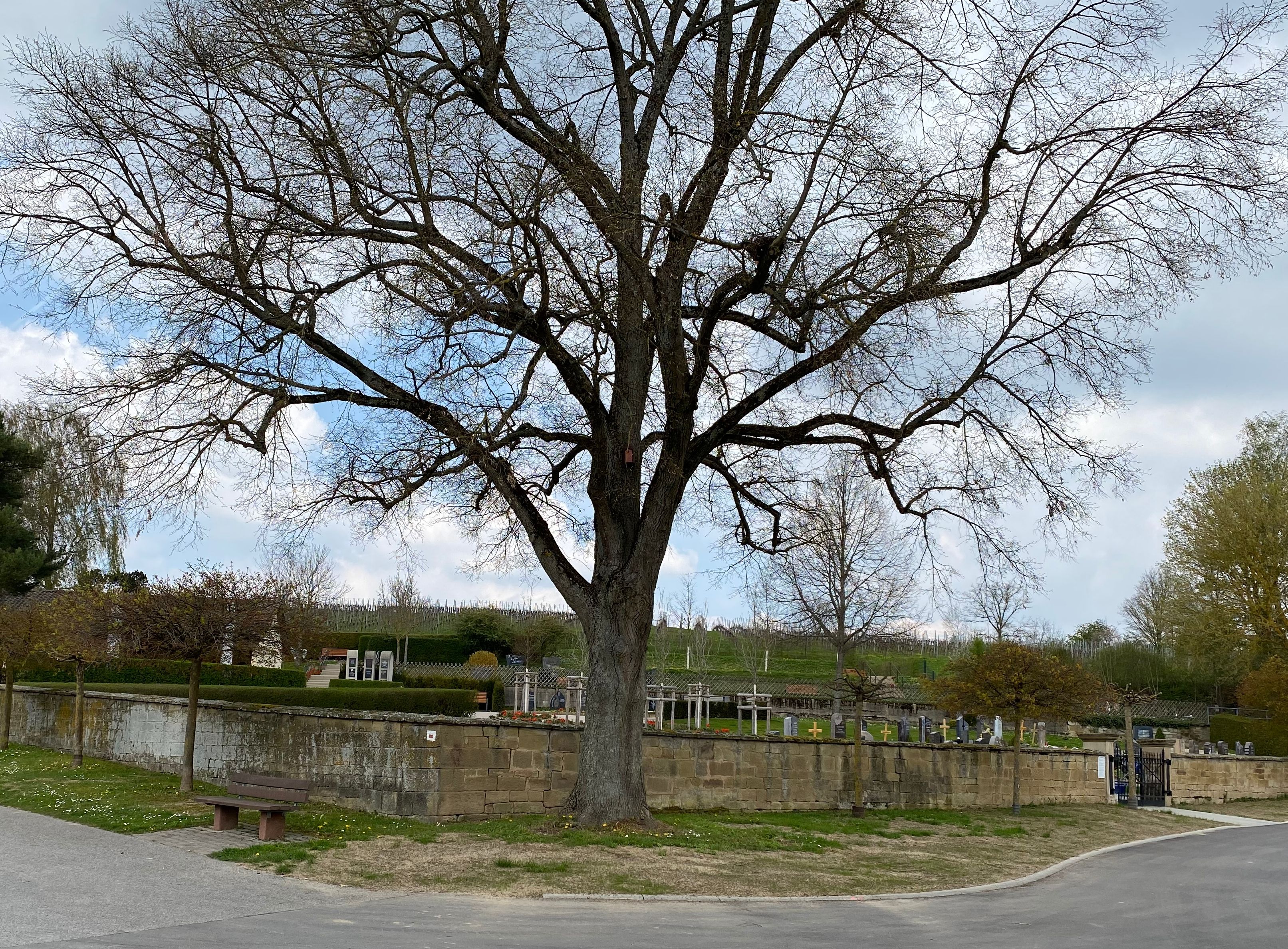 Friedhof Niederhofen