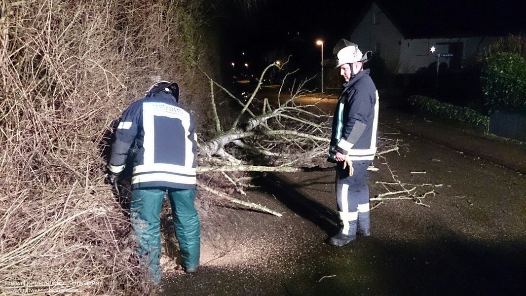08.01.2015 – Umgestürzter Baum