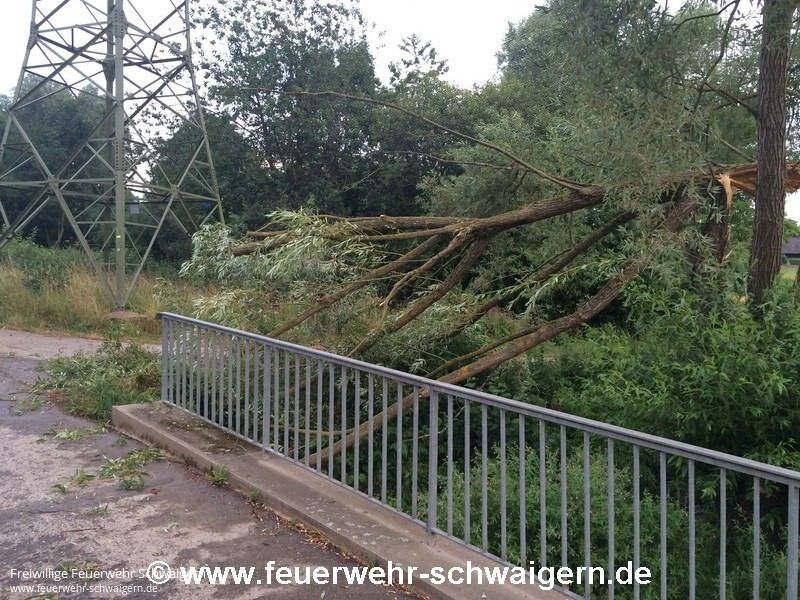 22.07.2015 – Windbruch nach kurzem Sturm