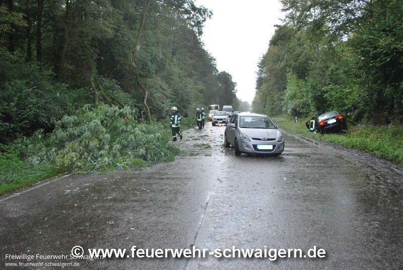 14.09.2015 – Umgestürzter Baum auf B 293