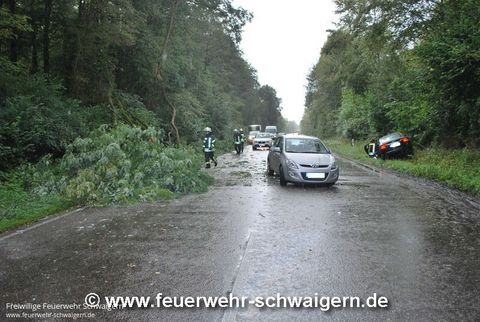 14.09.2015 – Umgestürzter Baum auf B 293