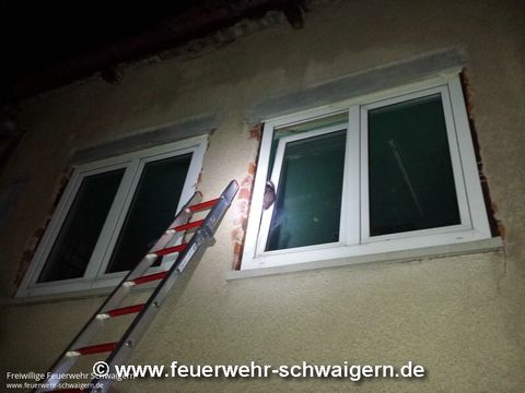 03.06.2016 – Marder war in gekipptem Fenster eingeklemmt