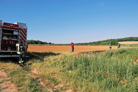24.06.2017 – Brand einer Freifläche