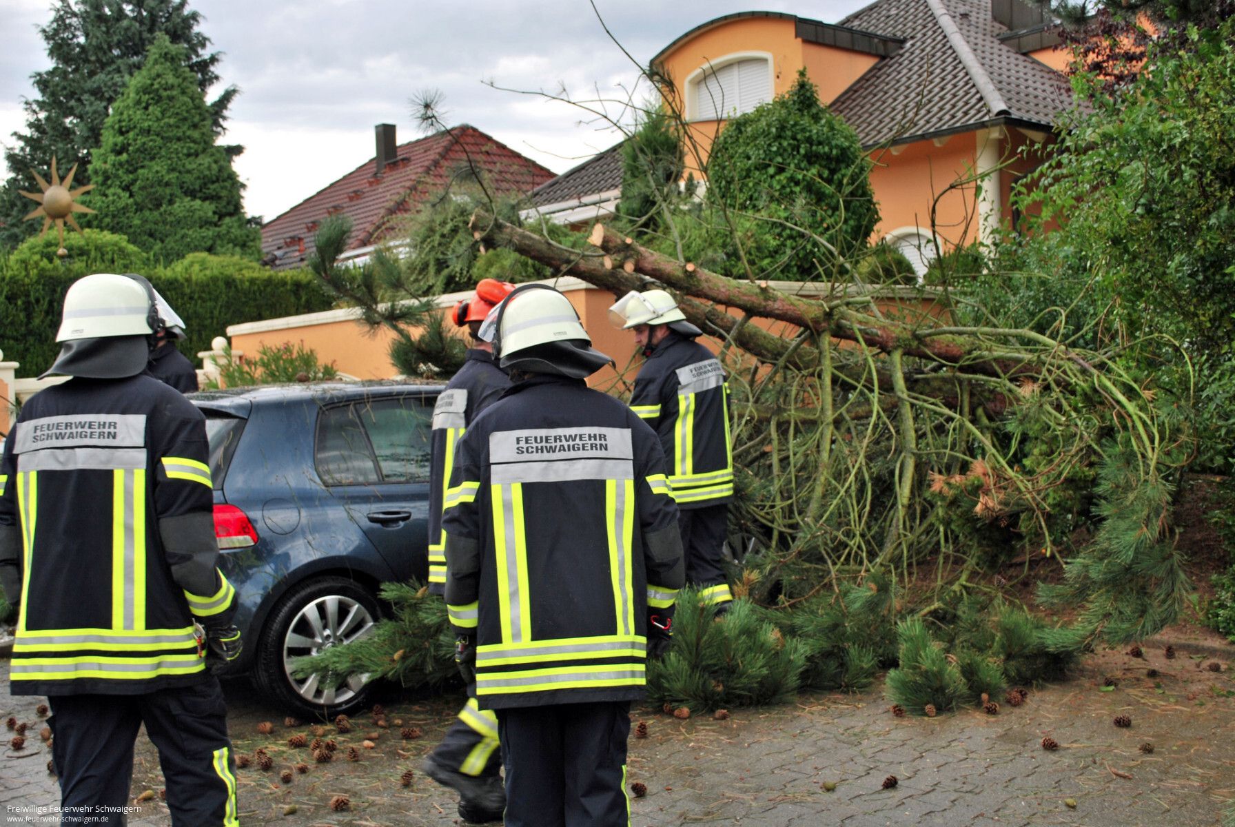 18.08.2017 – Umgestürzter Baum