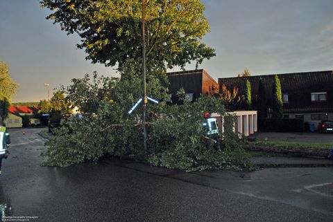 18.08.2017 – Baum drohte umzustürzen