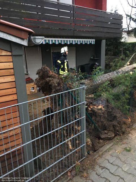 03.01.2018 – Umgestürzter Baum auf der Herewinstrasse
