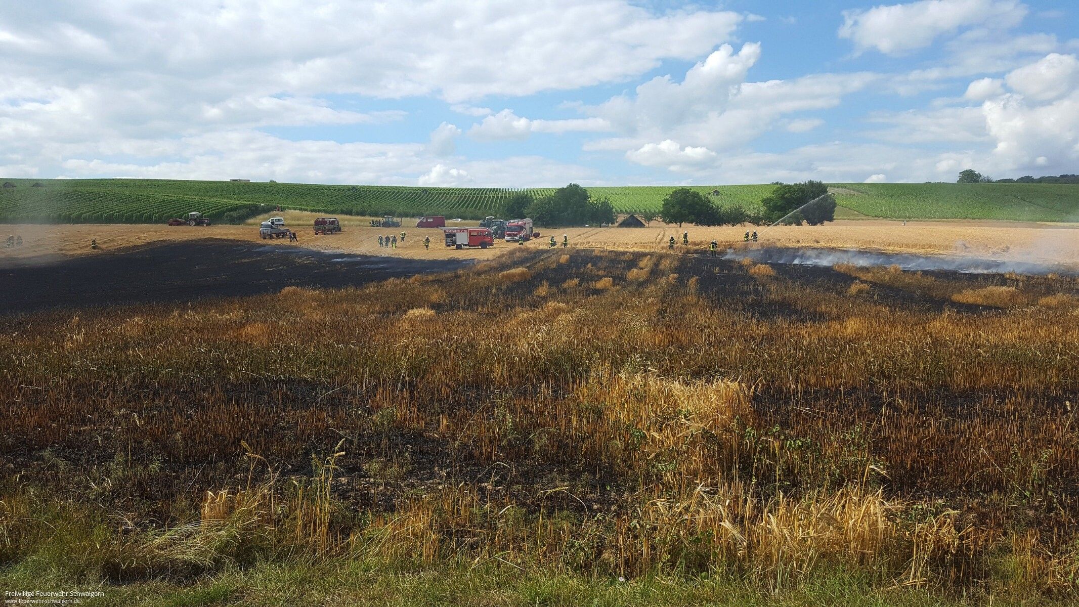 22.06.2018 – Ausgedehnter Flächenbrand