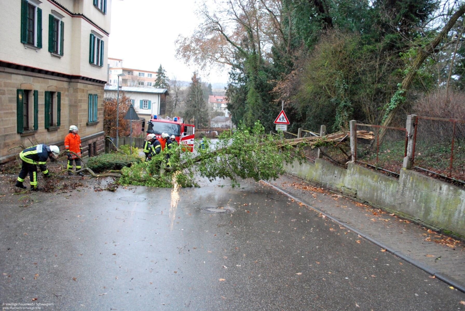 10.02.2019 – Umgestürzter Baum blockiert Gratstrasse