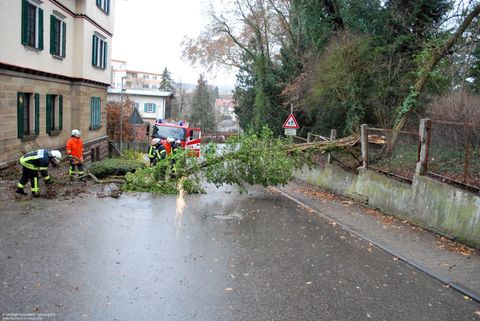 10.02.2019 – Umgestürzter Baum blockiert Gratstrasse