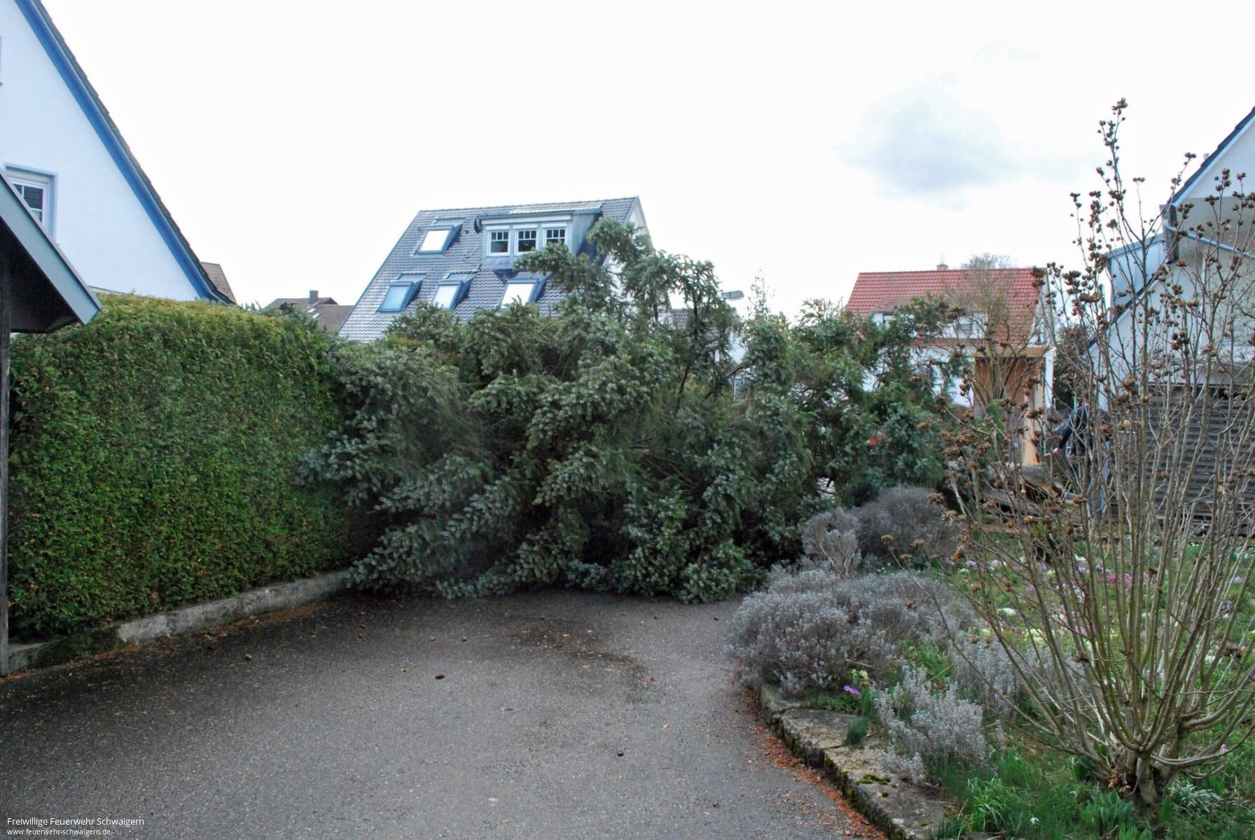 10.03.2019 – Umgestürzter Baum beschädigt Garagendach