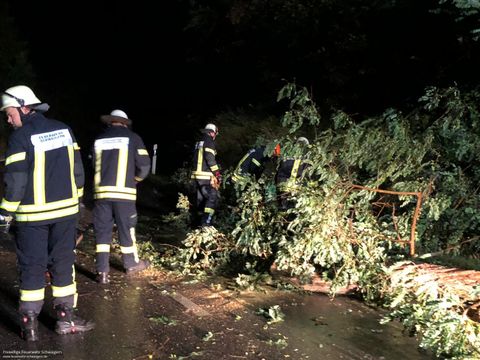 30.09.2019 – Abgebrochener Ast auf der K2160