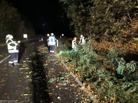 21.10.2021 – Baum fällt bei Sturm auf L1107 (Stetten-Haberschlacht)