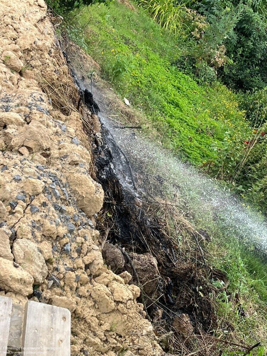 24.07.2024 – Brennendes Gehölz im Eselsberg