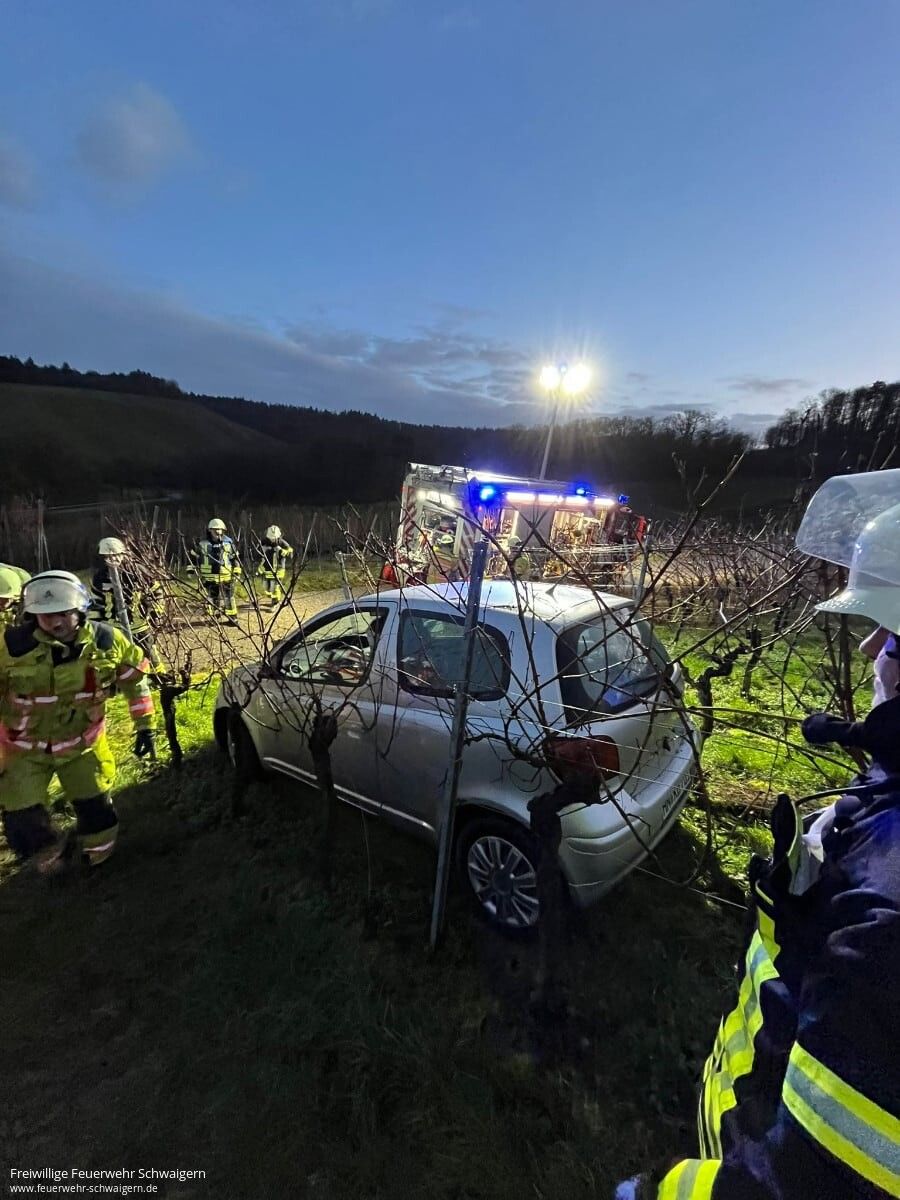 23.12.2024 – PKW kommt von Straße ab und landet im Weinberg