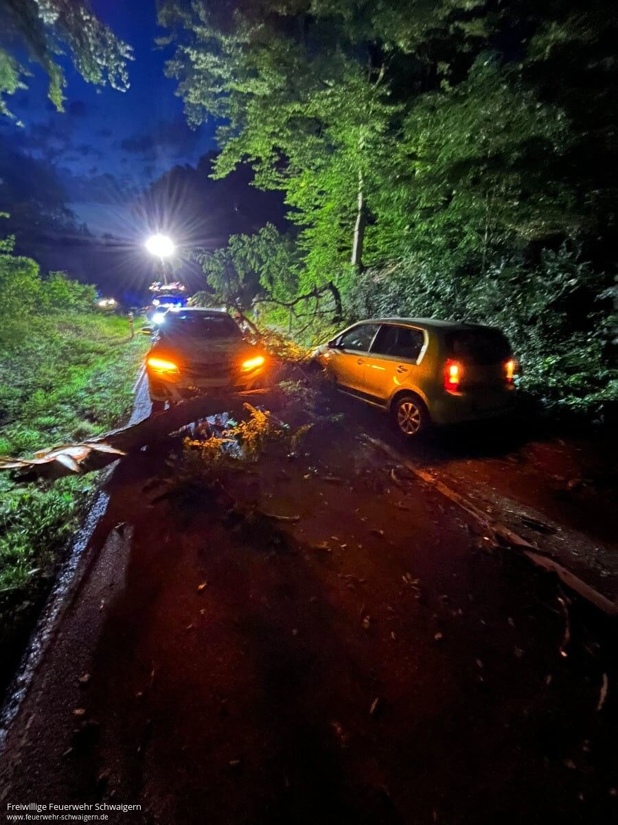 13.07.2025 – Verkehrsunfall nach Windbruch auf K2151 (Schwaigern-Neipperg)