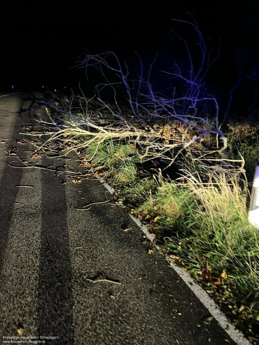 24.10.2025 – Umgestürzter Baum auf K2065 (Niederhofen - Haberschlacht)