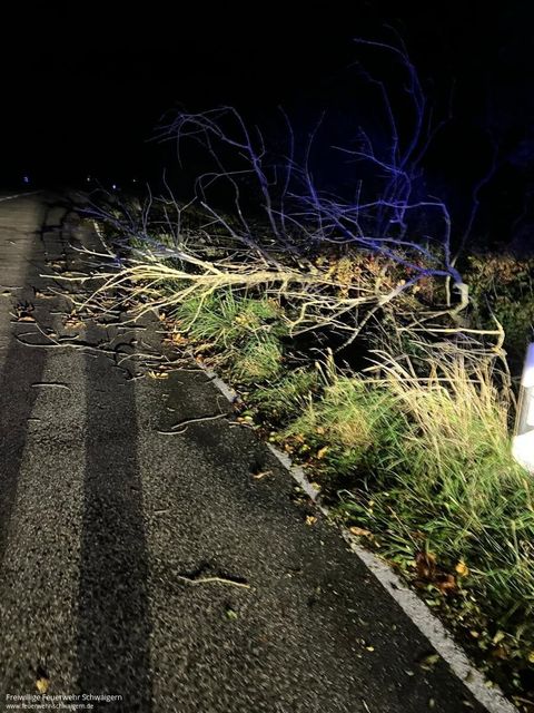 24.10.2025 – Umgestürzter Baum auf K2065 (Niederhofen - Haberschlacht)
