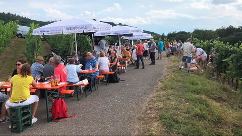 Wein am Berg