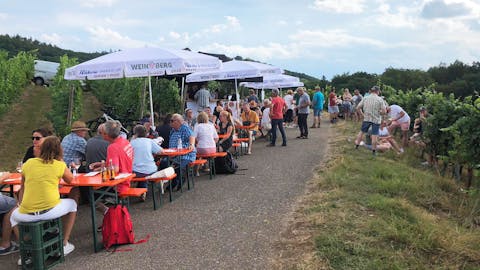 Wein am Berg