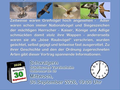 Greifvögel - Herrscher der Lüfte