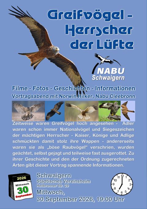 Greifvögel - Herrscher der Lüfte